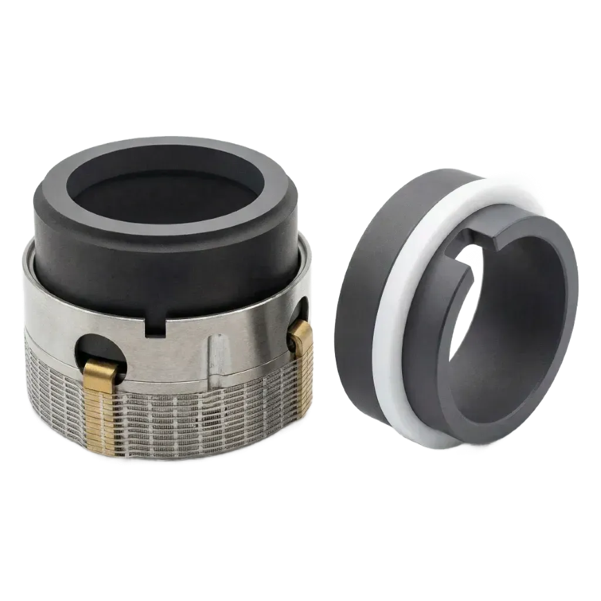 0600 55U RS/SicSicArmCar/BP (0600/55U/--/BP/216F, 60mm 55U BP WXS1S1) торцевое уплотнение